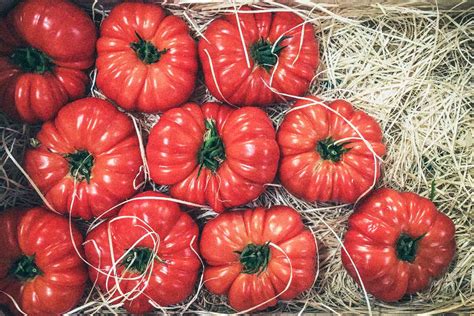 8 Popular Types Of Tomatoes Plus How To Use Them