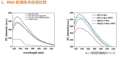 Duplex specific nuclease 隆重登场 南京博雷兹生物科技有限公司