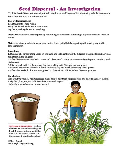 Questions On Seed Dispersal For Grade 5