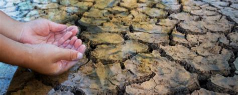 Edo Mex Crisis En La Presa Miguel Alem N Agua En Peligro En Valle