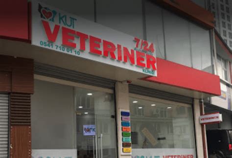 Kut Veteriner Kliniği Klinik Sitesi