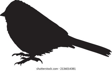 Bird Silhouette Vector Black White Stock Vector (Royalty Free ...