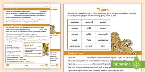 Tigers Cloze Activity Tigers Teacher Made Twinkl