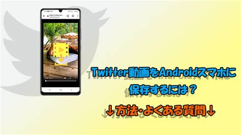 Androidでtwitter動画を保存する3つの方法を解説！話題の動画も手軽にゲット