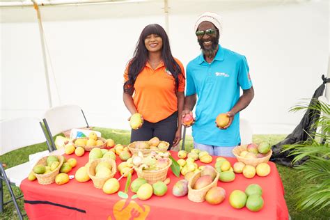 Gallery Nevis Mango Festival