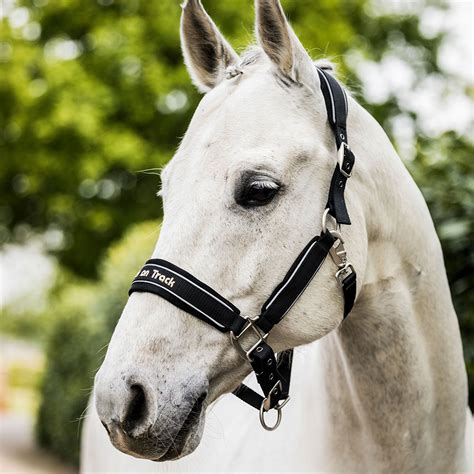 Reflective Werano Halter Back On Track Canada