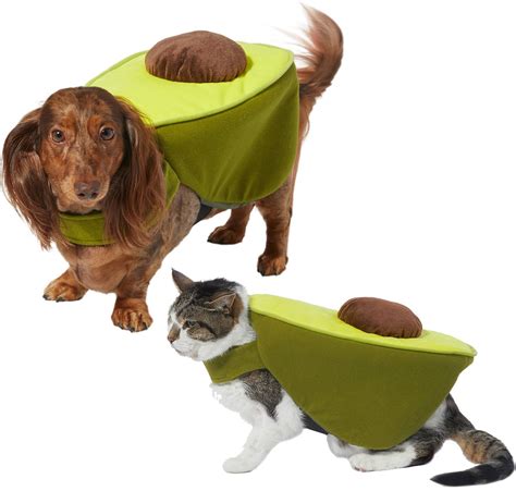 Frisco + Avocado Dog & Cat Costume