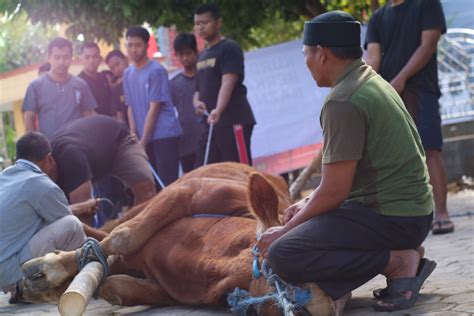 Warga LDII Wonogiri Gerakkan Ekonomi Rp10 6 Miliar Untuk Kurban