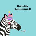 Verjaardagskaart Zebra Met Feesthoed Kaartje Go