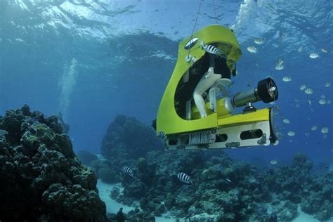 Tripadvisor Private Tour Underwater Scooter Bora Bora Provided By