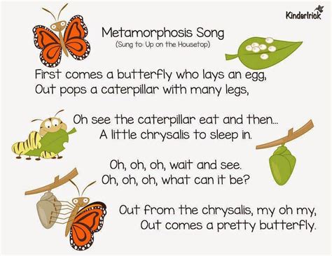 Pin By Janele Sumner On Preschool Preschool Songs Insects Preschool