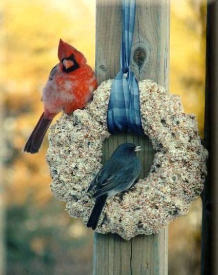 Make A Fun Molded Bird Seed Wreath Bird Feeders Bird Seed Bird Seed