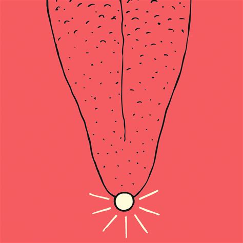 33 Cosas Que Me Gustan Behance