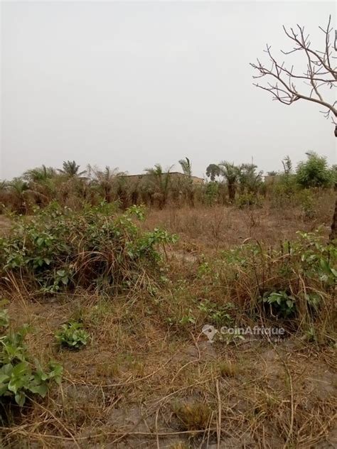 Terrains Terrain Adetikopé au Togo CoinAfrique Togo