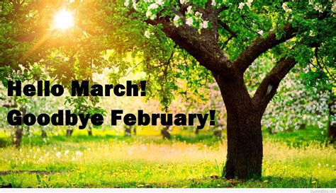 Hello March Goodbye February Goodbye February Hello March 3152440