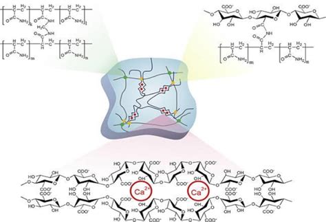 In Situ Hydrogel Formation Using Chemical Cross Linking And Ionic