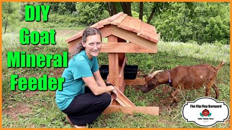 Finally Got This Project Complete Diy Goat Mineral Feeder Youtube