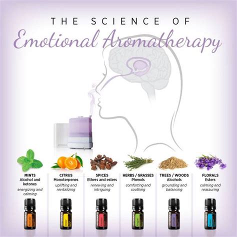 The Science Of Emotional Aromatherapy Dōterra Essential Oils