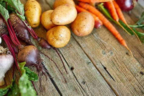 Flat Lay Of Assortment Of Fresh Root Vegetables Bio Healthy Organic