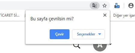 Google Resimli Eviri