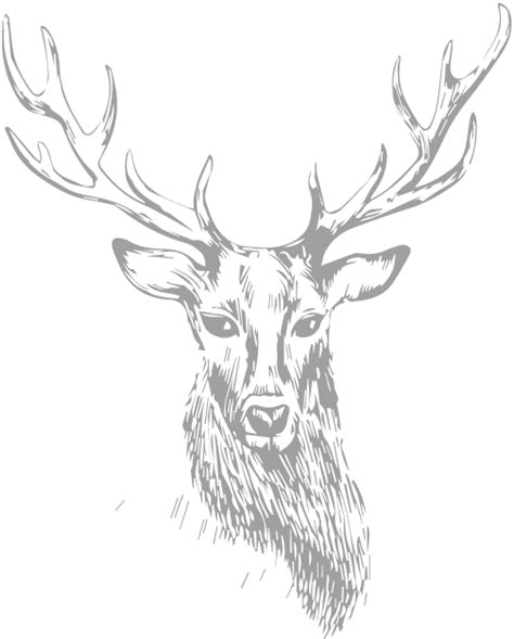 Stag Clipart Large Size Png Image Pikpng