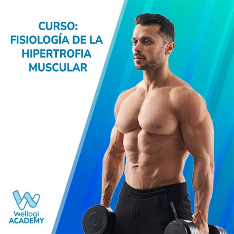 Fisiolog A De La Hipertrofia Muscular Minutos Curso Online