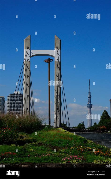 Tokyo Sky Tree And Kiba Park Stock Photo Alamy