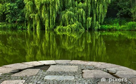 Fototapeta Zielony park tło i scena PIXERS PL