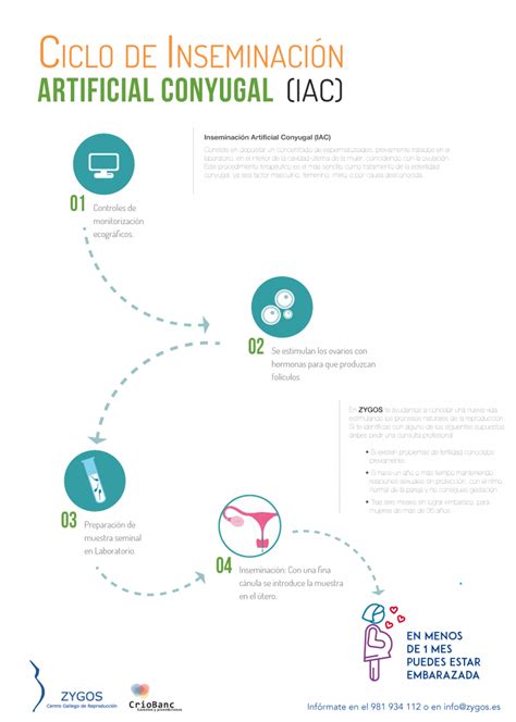 Inseminaci N Artificial Con Semen Conyugal Zygos