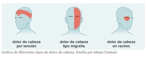 la web de la salud noticias  articulos sobre salud  bienestar