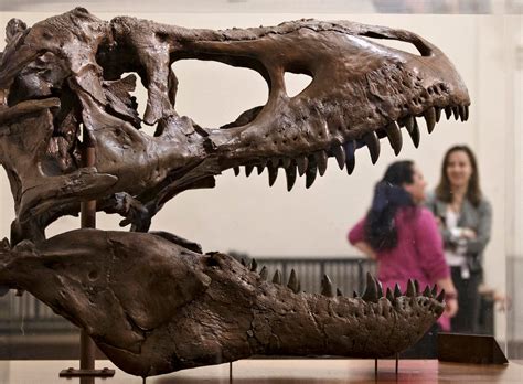 A Tyrannosaurus Rex Bite Was Even More Terrifying Than You Think