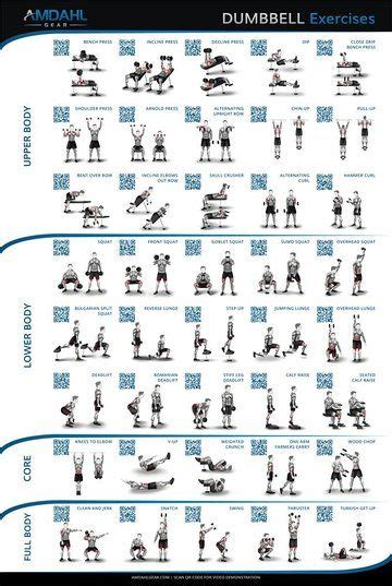 Dumbbell Exercises For Lower Body Core Chest And Back Poster Pe07768nasco Atelier Yuwaciaojp