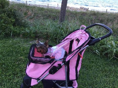 Pink Polka Dot And Lace Designer Dog Harness Dress Baxterboo