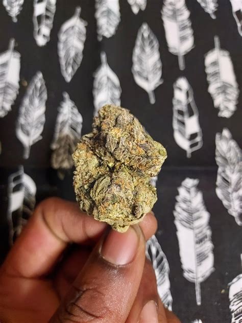 Kool Whip - Good Day Farms : r/armmj