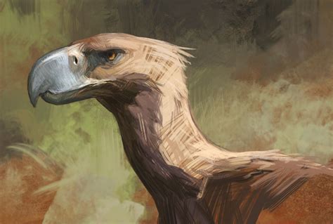 Terror Bird Wallpapers Wallpaper Cave