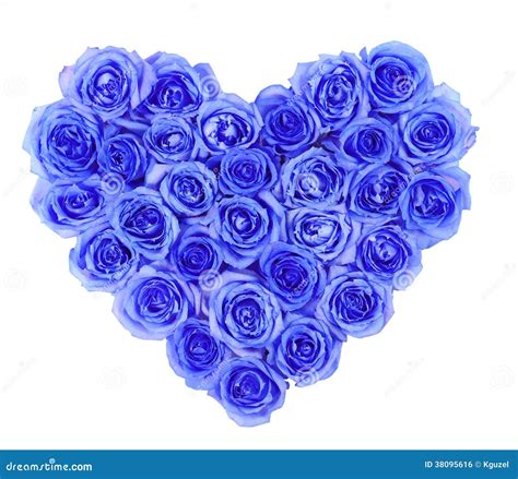 Blue Roses In Heart Shape Isolated Isolated On White Royalty Free Stock