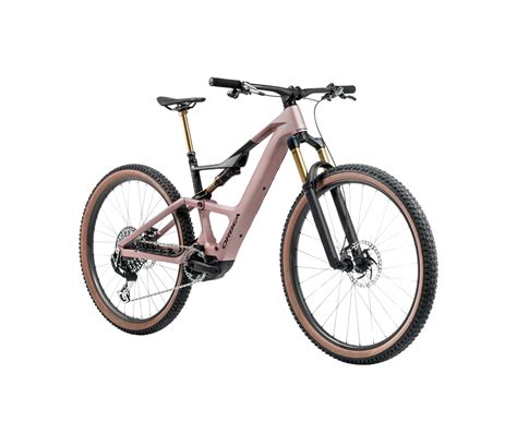 Orbea Rise Lt M Team Elektrische Mountainbike Fully Wh L Roze