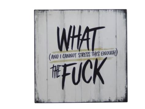 What And I Cannot Stress This Enough The Fuck Funny Humorous Wall Sign