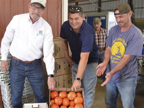 New Jersey Department Of Agriculture Highlights Jersey Fresh Tomatoes