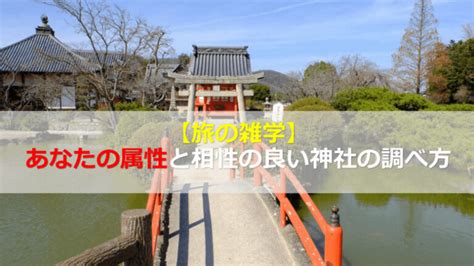 【旅の雑学】神社に属性あり、あなたの属性と相性の良い神社の調べ方