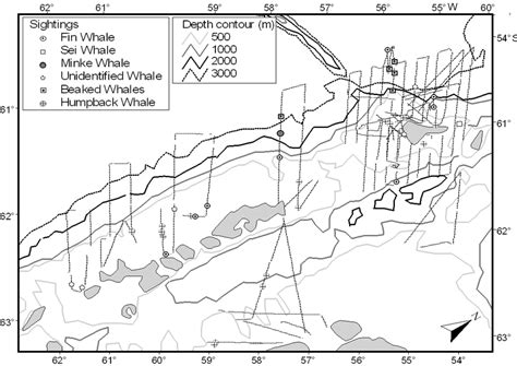 Helicopter Surveys Around Elephant Island Surveys From 19 St December Download Scientific