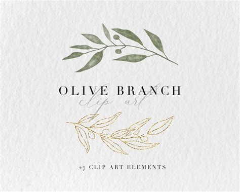 Watercolor Olive Clipart Botanical Leaves Illustrations Watercolor