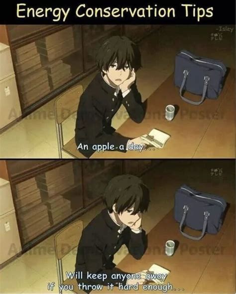 meme  google anime jokes anime funny anime quotes