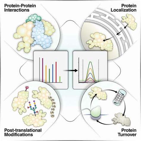 Full Article Proximity Labeling And Other Novel Mass Spectrometric