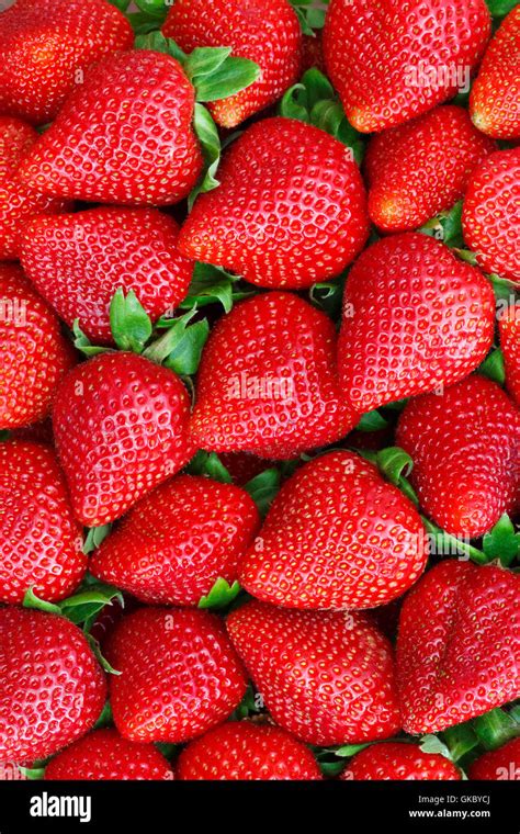 Strawberry hi-res stock photography and images - Alamy