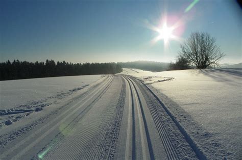 Fotos Gratis Paisaje Rbol Horizonte Nieve Nube Cielo La