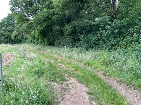 Footpath Around Berrydown Copse Mr Ignavy Cc By Sa Geograph