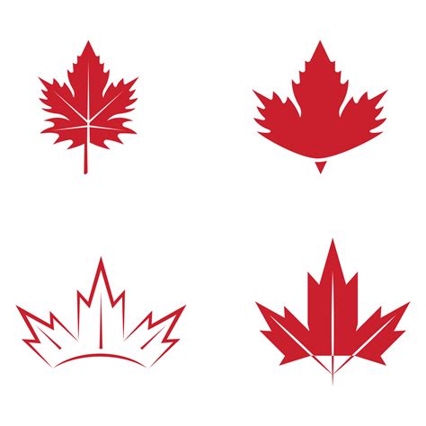 Maple leaf vector illustration 21872231 Vector Art at Vecteezy