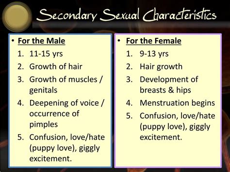 Ppt Chapter 6 Sexual Reproduction In Man Powerpoint Presentation