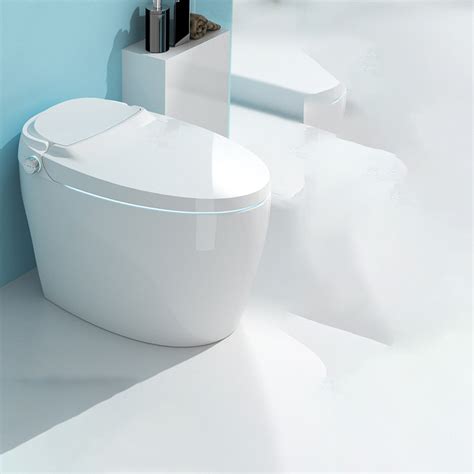 Electronic Toilet Seat in White Elongated Floor Standing Bidet with ...